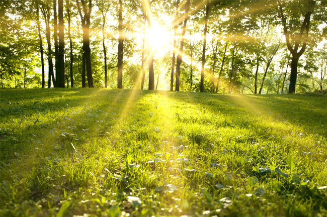 Standard Post with Image